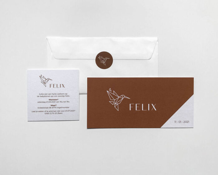 Felix home LR