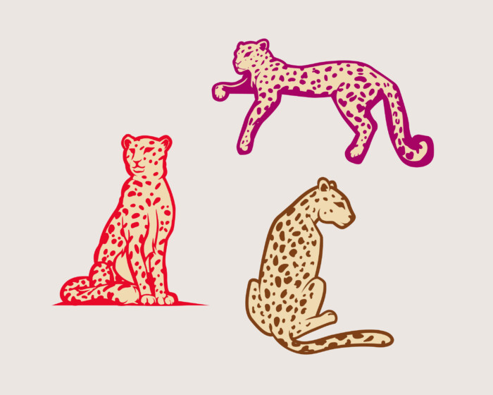 Bacchus leopards